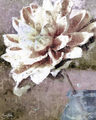 Image Not Available